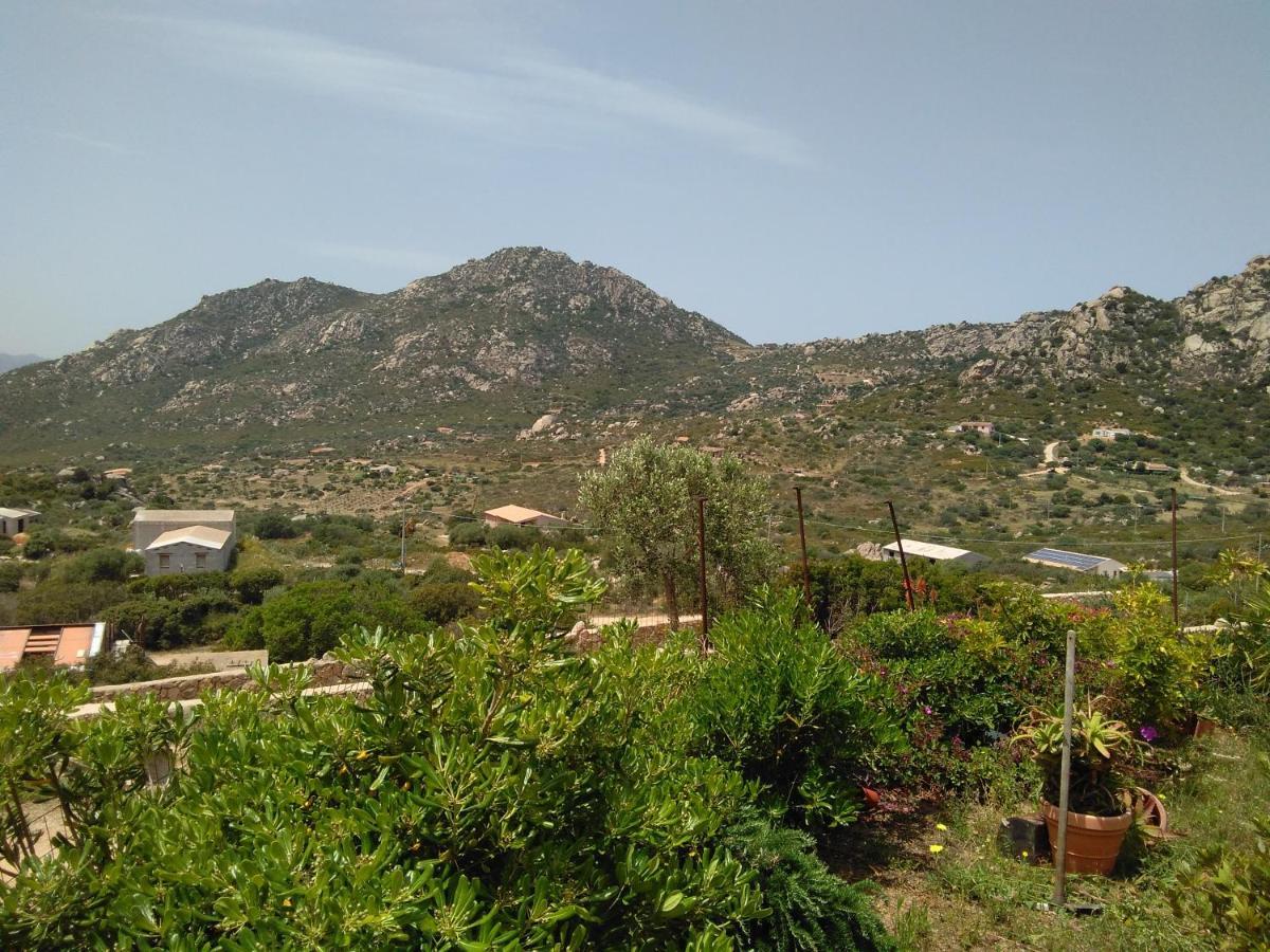 Osseddu Holiday home *