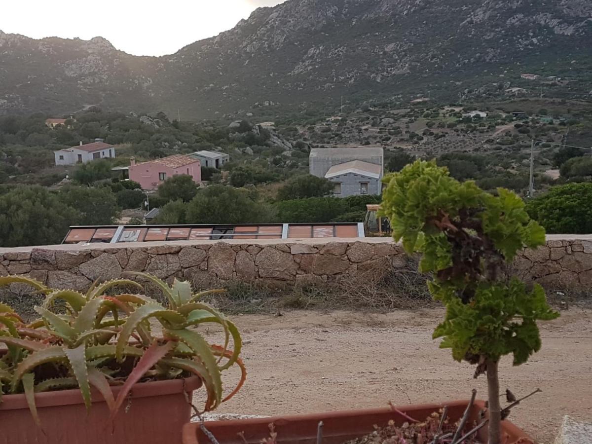 Holiday home Osseddu *