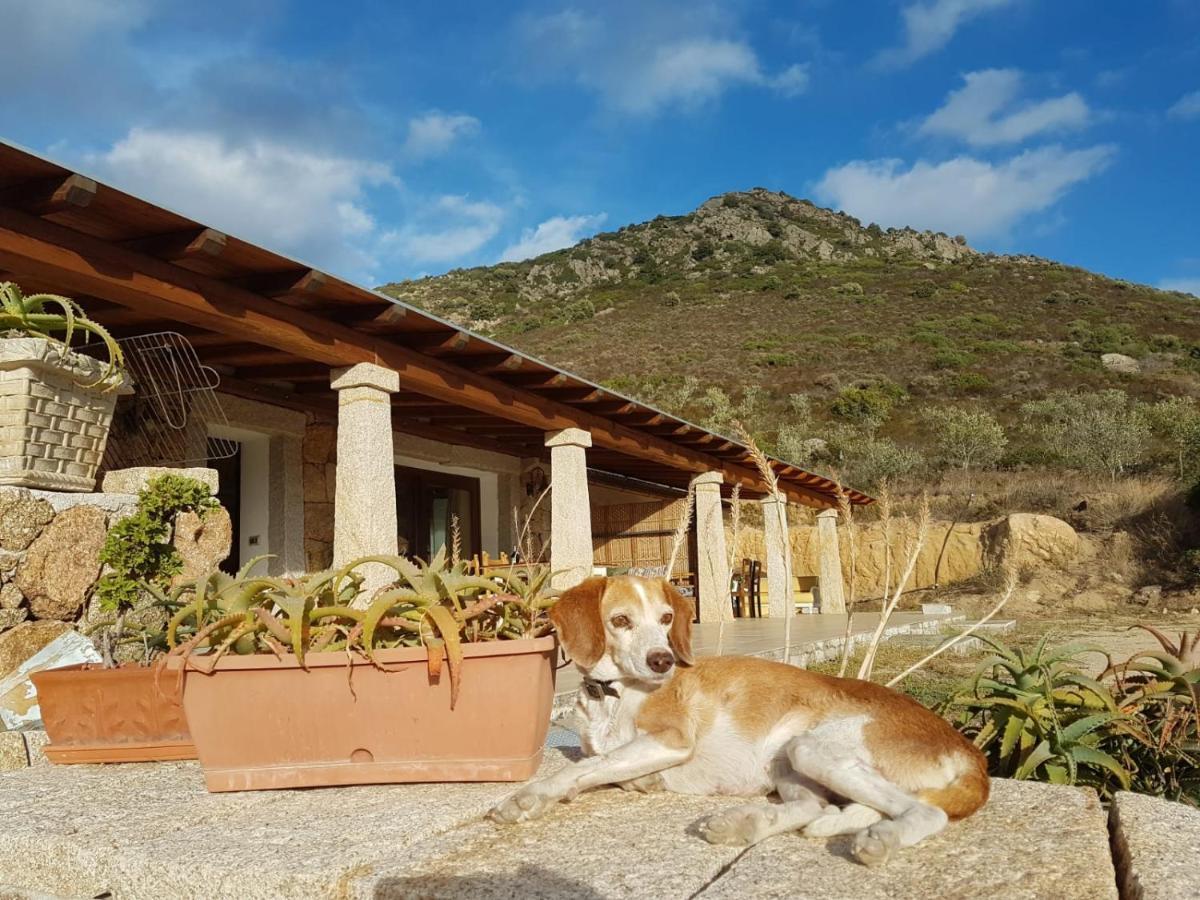 Osseddu Ferienhaus Olbia